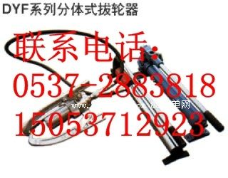 DYF-10���wʽҺ�����R Һ�����R