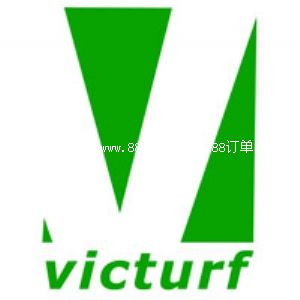 ���A�����ƺ