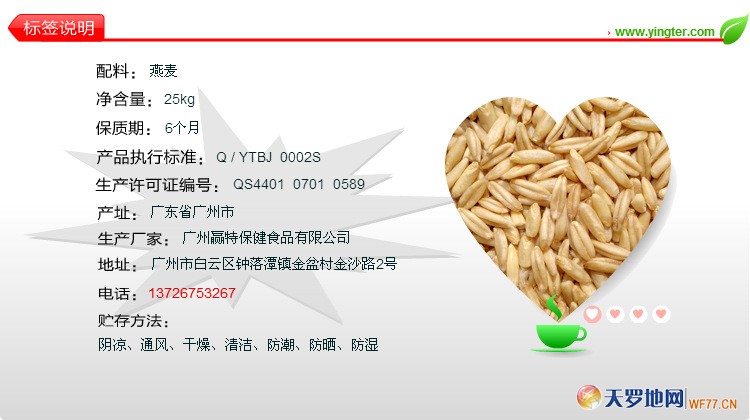 gw05������