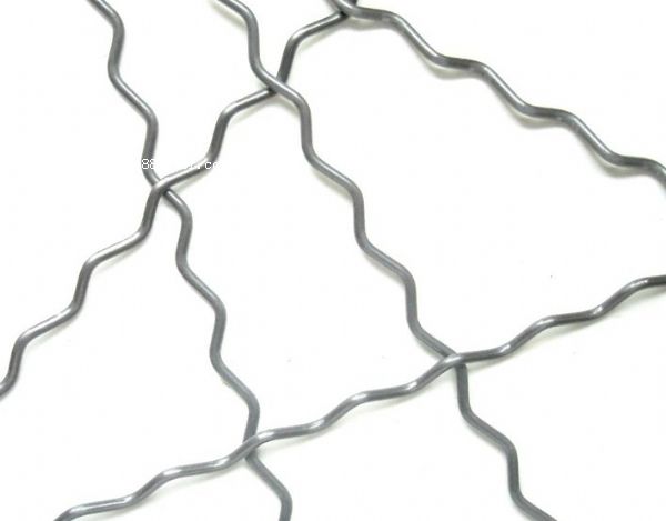 ����������w�S�S�҃r(ji��)��