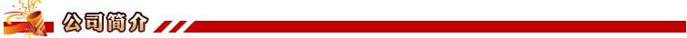 公司簡(jiǎn)介