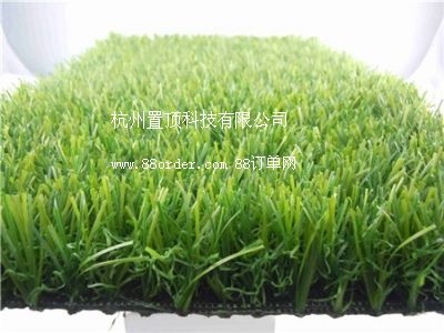 ���������ƺʩ��