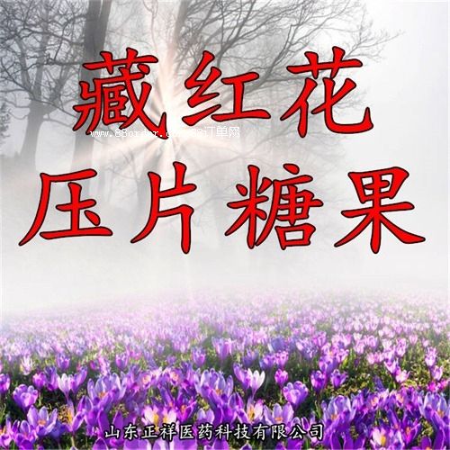 ���t��ѩɏ���B(y��ng)�ƬOEM��Ƭ�ǹ����ӹ�Ƭ������